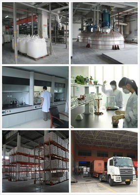 Extra Durable Blended Polyester Resin For Outdoor Low Gloss Powder Coatings